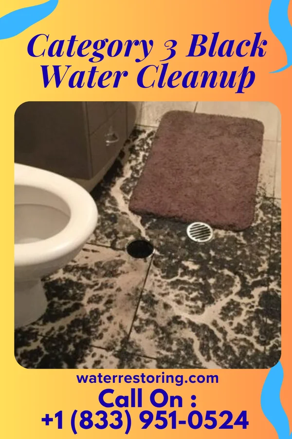 Category 3 Black Water Cleanup in Mattydale, NY