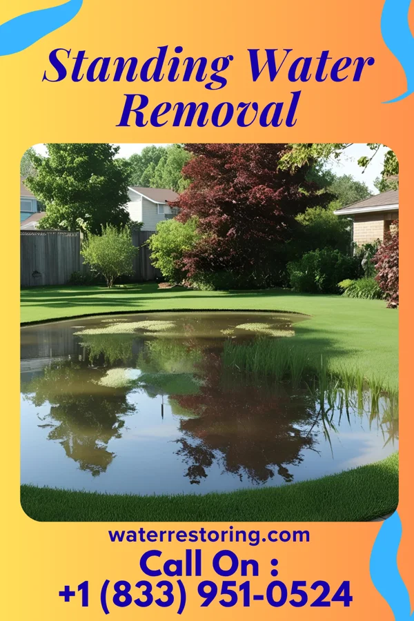 Standing Water Removal in Mattydale, NY